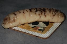 Sjögurka