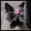 Romana_12